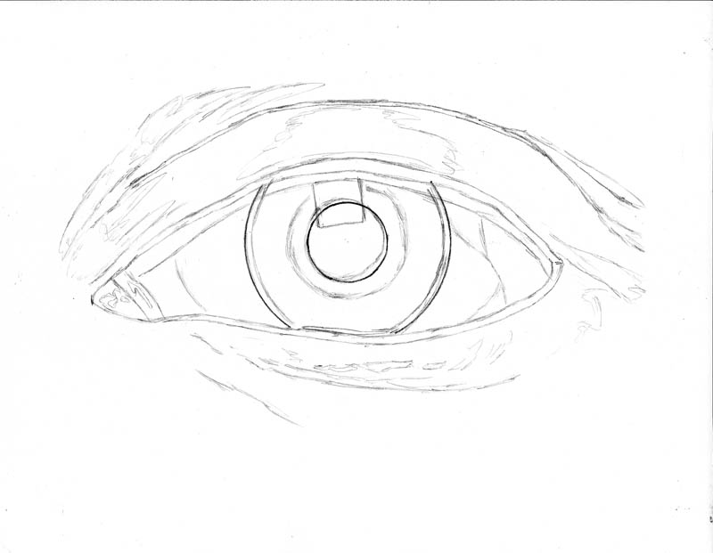 Line Art Eye : How to draw an eye realistically part of let s