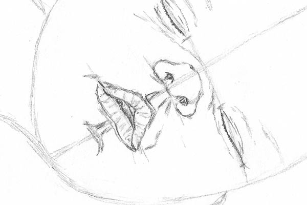 Line Drawing Baby Face : How to make a drawing of baby sleeping let s draw people